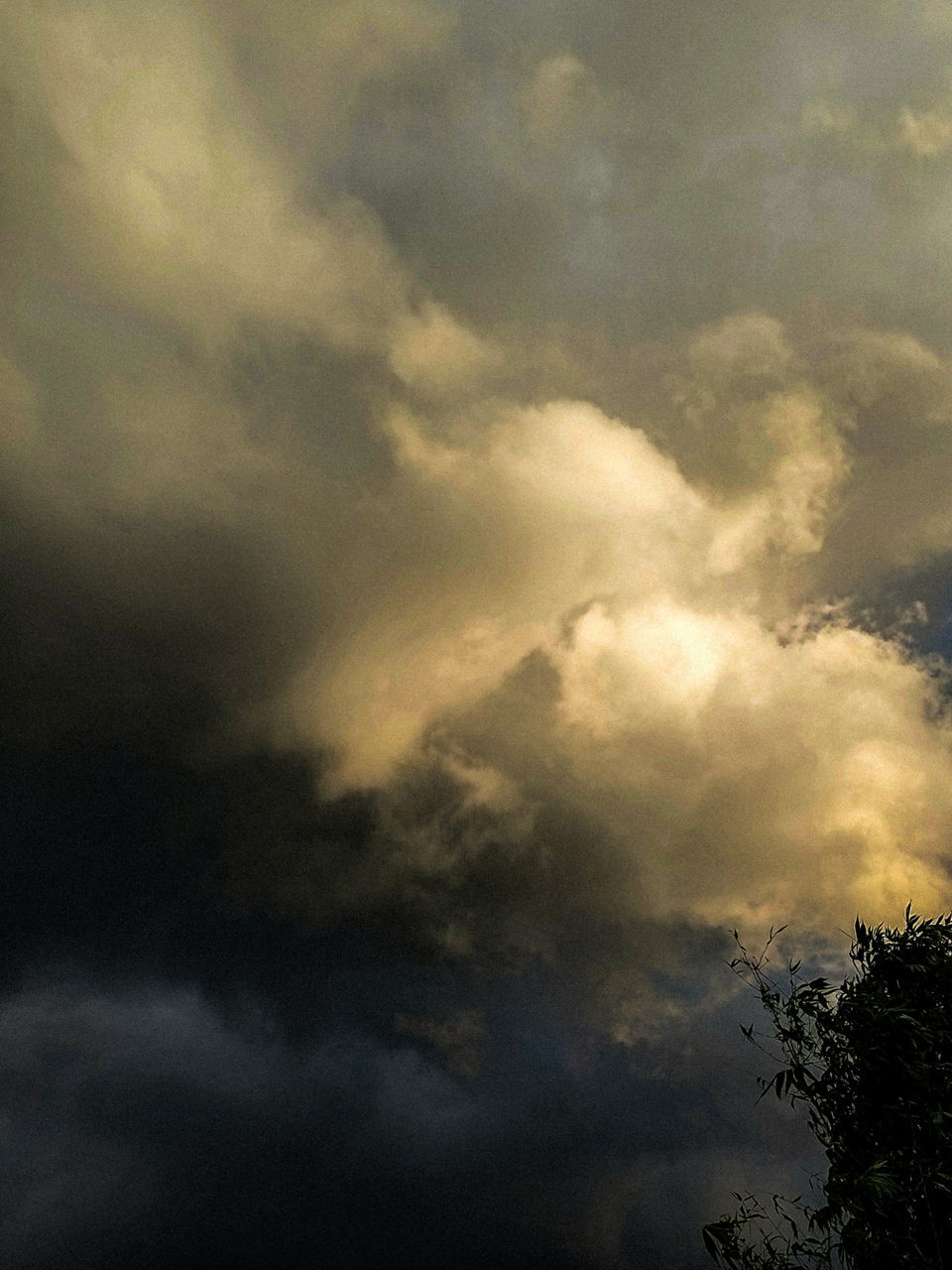 sky, cloud, beauty in nature, nature, tree, no people, environment, scenics - nature, dramatic sky, cloudscape, outdoors, plant, sunlight, storm, tranquility, darkness, low angle view, silhouette, storm cloud, backgrounds