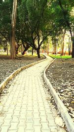 Empty footpath by trees in park