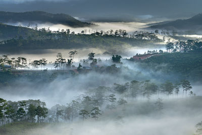 Panoramic shot of trees on land against sky