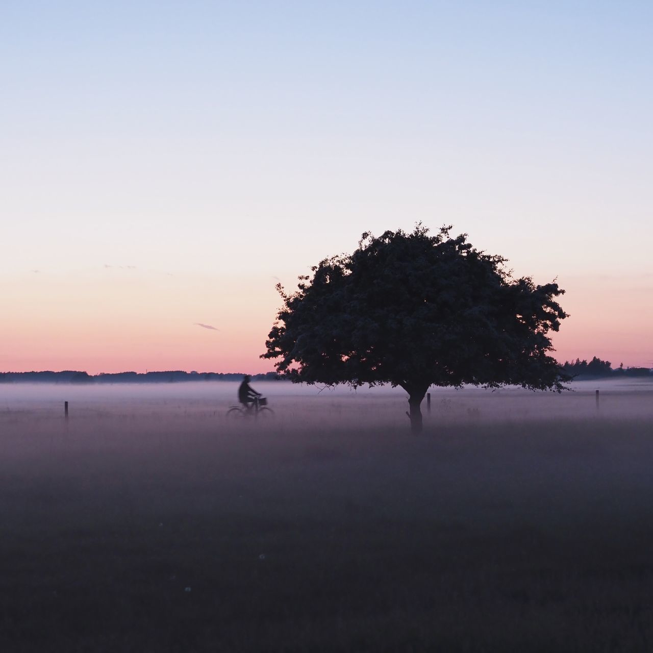 sky, sunset, tree, plant, scenics - nature, silhouette, beauty in nature, tranquility, tranquil scene, copy space, water, nature, idyllic, land, clear sky, orange color, environment, non-urban scene, outdoors