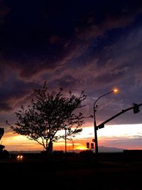 Silhouette tree against sky at night