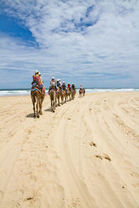 People riding camels on beach