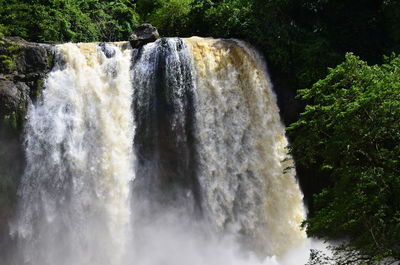 Scenic view of waterfall in forest