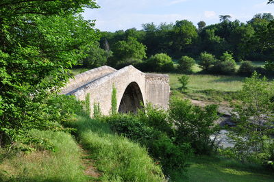 Arch bridge over river amidst trees against sky