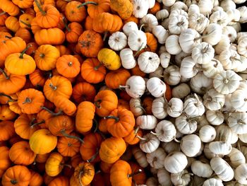 Full frame shot of pumpkins