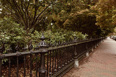 View of cat on bridge