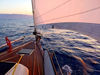 Sailboat sailing on sea against sky during sunrise - spot the dolphin.