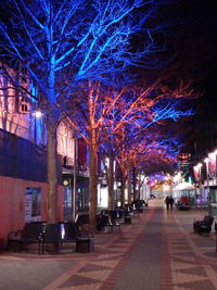 Illuminated street amidst trees in city at night