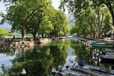 Scenic view of lake by trees in city