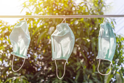 Close-up of clothes hanging on plant in back yard