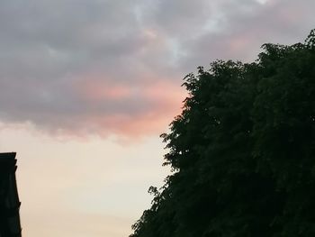 Low angle view of silhouette tree against sky at sunset