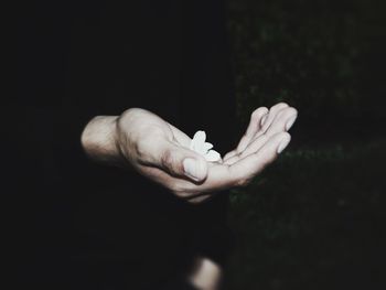 Close-up of hand holding glass over white background