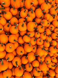 High angle view of pumpkins in market