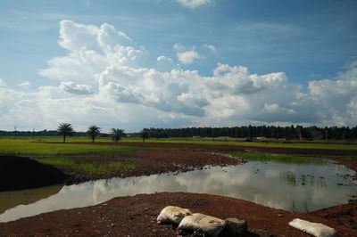 Scenic view of lake