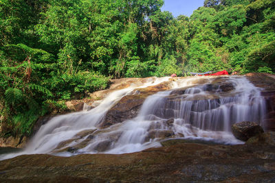 Scenic view of waterfall in forest