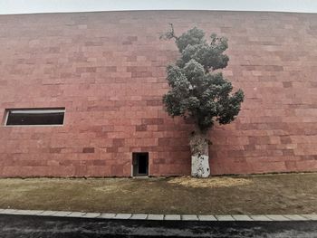 View of brick wall of building