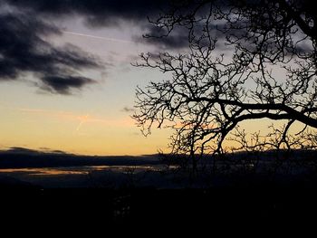 Silhouette tree against sky during sunset