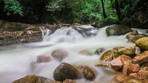 View of waterfall in forest