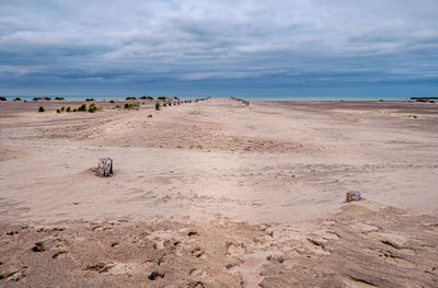 Wooden stakes showing the way towards the sea on a naturally developed sand beach