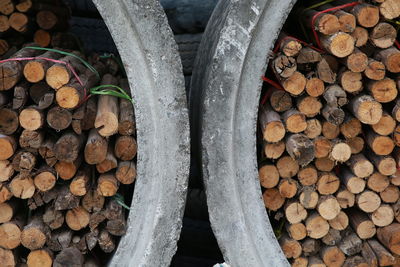 Stack of logs in forest
