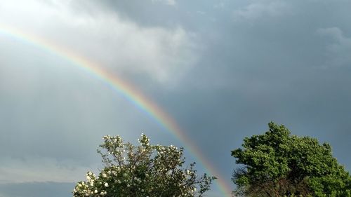 Low angle view of rainbow against sky