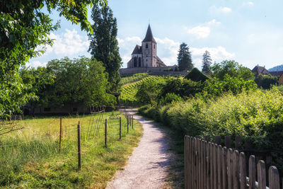 Hunawihr old fortified church surrounded by vineyards. taken in hunawihr, france