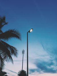 Low angle view of street light and palm tree against blue sky