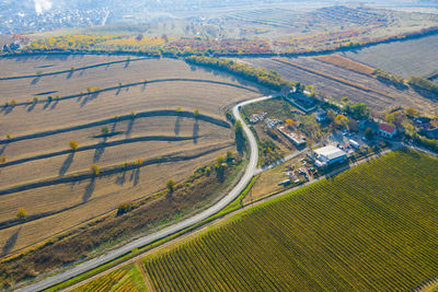 High angle view of agricultural field