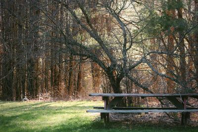 Empty bench in park during autumn