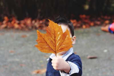 Close-up of hand holding maple leaves during autumn