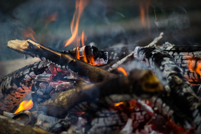 Close-up of campfire on wood