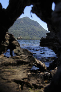 Close-up of rock in water