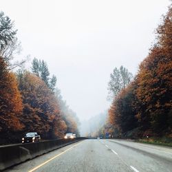 Empty road along trees