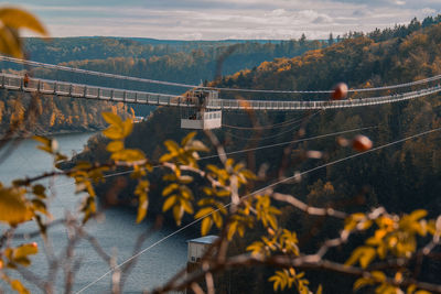 Autumn leaves on bridge against sky