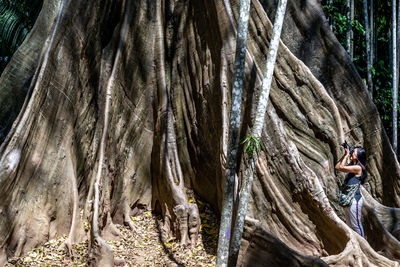 Full frame shot of trees on rock