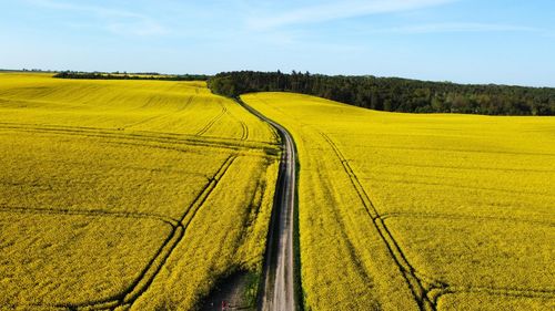 Scenic view of agricultural field against sky