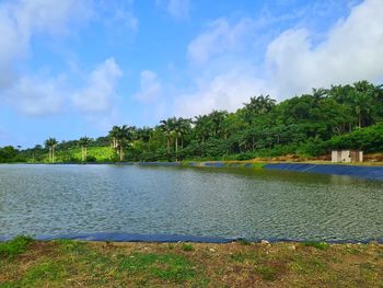 Scenic view of swimming pool by trees against sky