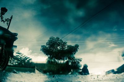 Low angle view of trees against sky