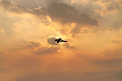 Low angle view of silhouette bird flying against sky