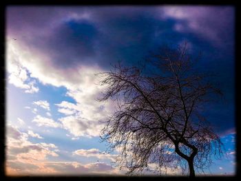 Low angle view of bare trees against cloudy sky