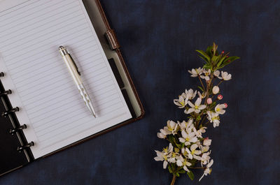 High angle view of flowering plant on table