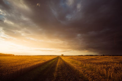 Scenic view of field against sky during sunset