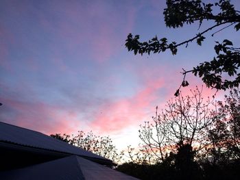 Low angle view of silhouette trees against sky during sunset