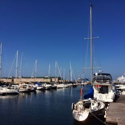 Boats moored in harbor