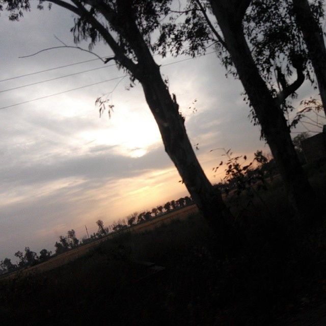 silhouette, sunset, sky, tree, tranquility, tranquil scene, cloud - sky, scenics, beauty in nature, nature, branch, low angle view, cloud, tree trunk, dusk, bare tree, idyllic, outdoors, no people, dark