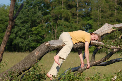 Man climbing on tree trunk in forest