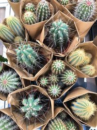 Full frame shot of potted plants at market stall