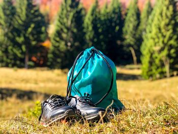 Close-up of tent on field against trees