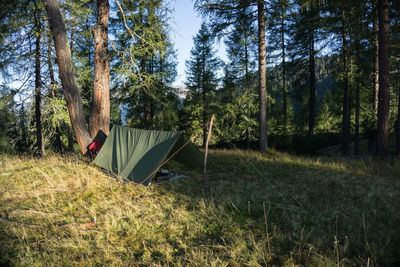 Sleeping outdoors underneath a tarp tent