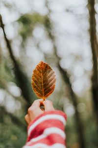 Cropped image of person holding umbrella